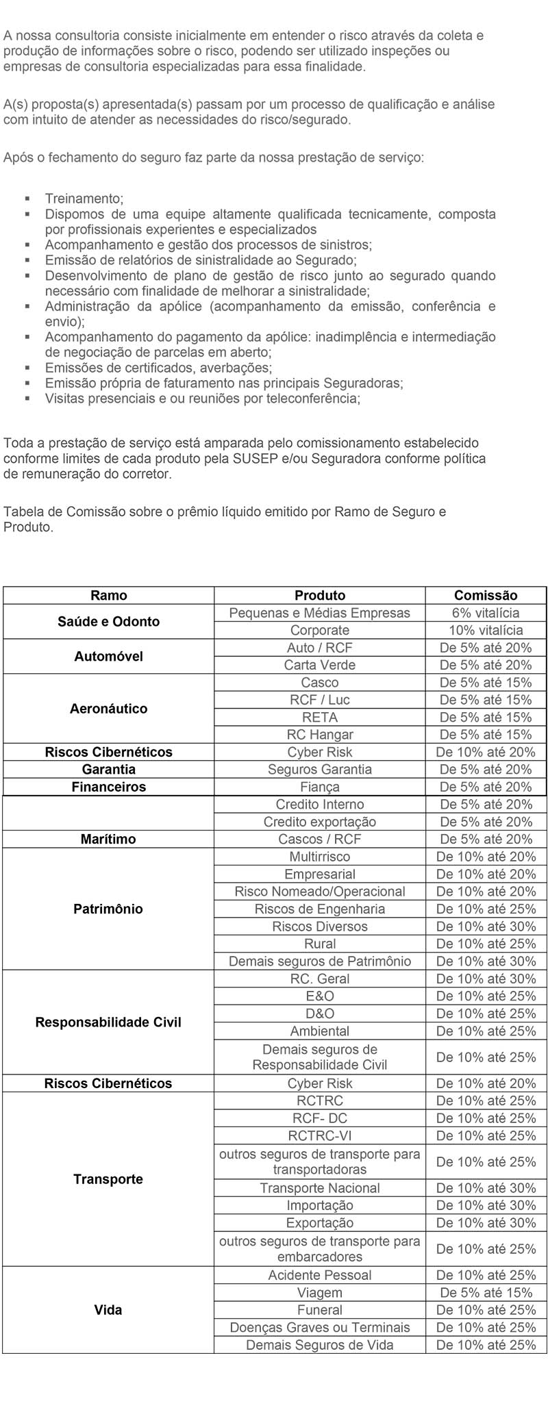 Briefing-em-branco